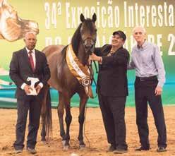 Com este Campeonato na Interestadual e mais um Campeonato obtido na Internacional do Cavalo Árabe no ano passado, Menton HVP já está credenciado para disputar o Campeonato Cavalo da Nacional.