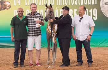 O Campeão Potro Prata foi Moroch AMR da criação de Alaor Mendes Ribeiro do Haras Nathan de Brasília.