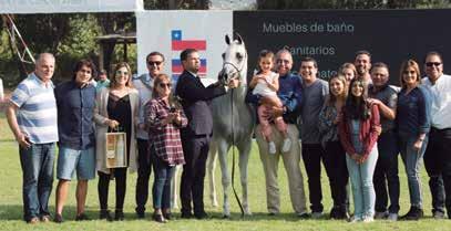 Pedro Gonzales O Campeão Prata foi o Campeão Nacional Brasileiro e por duas vezes Campeão Nacional Chileno Jazeer De Wiec, criado pelo Haras Meia Lua de Lenita Perroy e importado pelos Haras