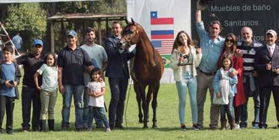 Fayed é criação do Haras Panquehue e pertence a Diego Benavente do Haras Del Mar.