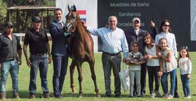 Colt, Altovalsol Hendrix - Haras Altovalsol de Ricardo Walsen Campeão Jr. Macho Bronze / Bronze National Jr.Colt, HHC Almajal - Haras Hacienda Chada de Carlos Barros Campeã Jr.