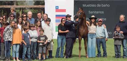 H Campeão Mirim Macho Ouro / Gold National Yearling Colt, Zar - Haras Panquehue da Família Bulnes e Águas Claras de Herman Chadwick Campeão Mirim Macho Prata / Silver National Yearling Colt, HP