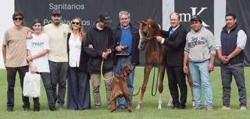 Inclusive outra potranca desse time, Dominica JSZ, foi Campeã na Breeders Cup Brasileira. A Campeã Prata Perla Negra é uma filha de Magnum Psyche em Michailla.