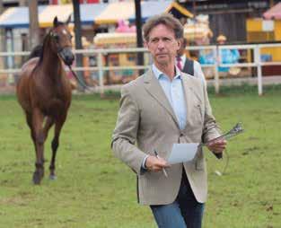 reprodutores, a maioria Cavalos Árabes, visando o melhoramento genético das tropas de lida no