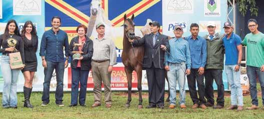 Campeã Potranca Ouro, Farfalla El Mashoor do Haras Engenho-MS Campeã Potranca Prata, Tarusha El Mashoor do Haras