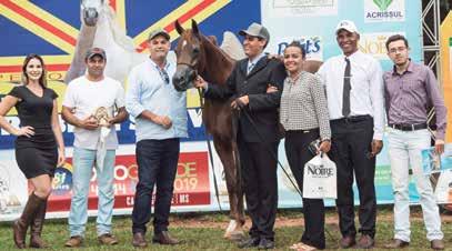 Macho Prata EZ Calebe Psyche (Psyche HBV x S&S Ayishah El Gazal por Gazal Al Shaqab). O Haras Al Jade, além da Jr.