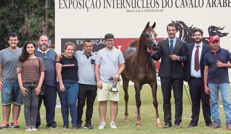 1 4 2 5 3 1- Campeão Cavalo Ouro /