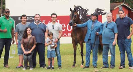 Estações-SP 3- Campeão Cavalo Bronze /