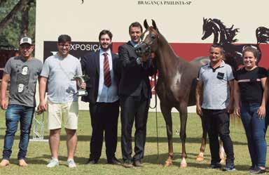 A Égua Ouro Yasmin HWM, que já havia sido também Ouro na Interestadual, ganhou definitivamente as credenciais para competir na Nacional deste ano.