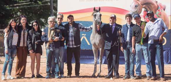 Campeão Potro Ouro / Gold Colt, *Positano ELS da Estância Lago do Sol-SP Campeã Potranca Ouro / Gold Filly, Pure Scandal HAV do Haras das Faias-SP Campeão Potro Prata / Silver Colt, *Tolab Al Shaqab