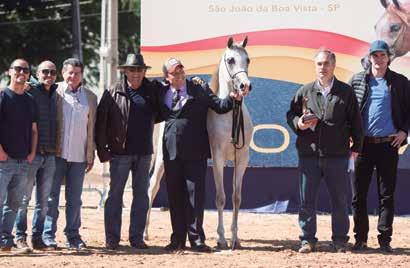 The Gold Champion Colt, Positano ELS, was a unanimous decision by the judges.