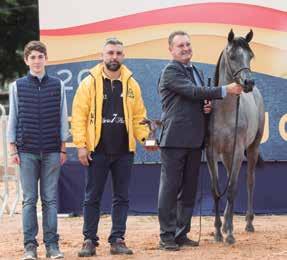 O Campeão Bronze Dartist Yparadise JM é filho do multipremiado Yparadise JM, por RFI Maktub. A mãe deste Bronze criado pelo Haras JM é Frangelika BHF filha de Falcon BHF.