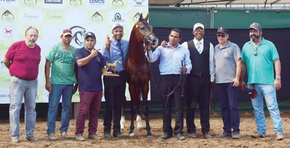 7ª Semana do Cavalo em Mato Grosso o Cavalo Árabe presente Campeão Cavalo Ouro, Psyche HBV do Haras Mita Porã-MS Campeã Égua Ouro e Melhor