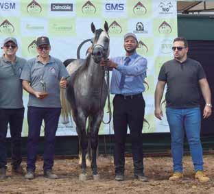 Haythan El Chall LGM do Haras Raythan-MT Campeã Égua Prata, Thelia T do Haras Engenho-MS Campeã Égua Bronze, Farfalla Al Mashoor do Haras