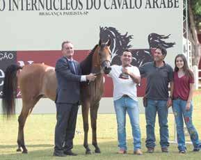 Bragança e São João, Babsy Di Pscore JM do Haras JM Potranca