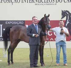 Schweizer e 7 Flechas de Leandro e Valdir Roberto dos Santos