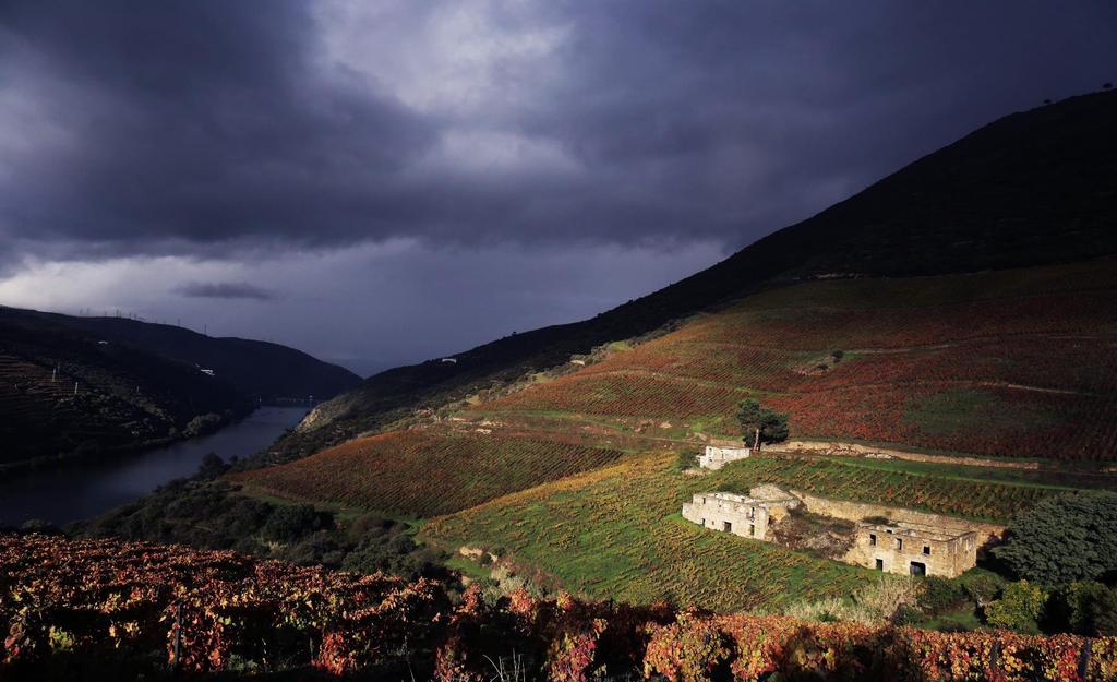 Bioindicadores e Gestão de Ecossistemas Níveis de Análise Integração com o Modelo de Negócio Nível Macro Planeamento e Ordenamento Resiliência Ecológica da Paisagem Produtiva e Florestal Adaptação e