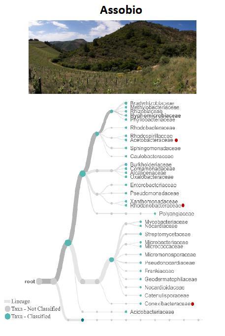 do Microbioma; evidenciadas diferenças