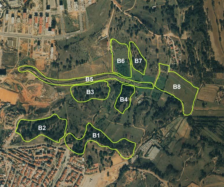 caso de estudo Biótopos Biótopo 1 Povoado de Pinus pinea Biótopo 2 Povoado de Quercus suber Biótopo 3 Povoado de Olea europaea Biótopo 4 Povoado