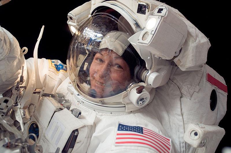Programas de igualdade de gênero Governamentais Female Astronaut (German Space Center): Foi criado em 2017 para combater a