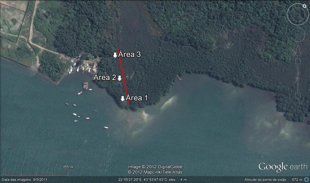 Figura 3. Localização das áreas de coleta, no manguezal de Itacuruçá/Coroa Grande, Baía de Sepetiba, RJ. Fonte Google earth. 3.2.
