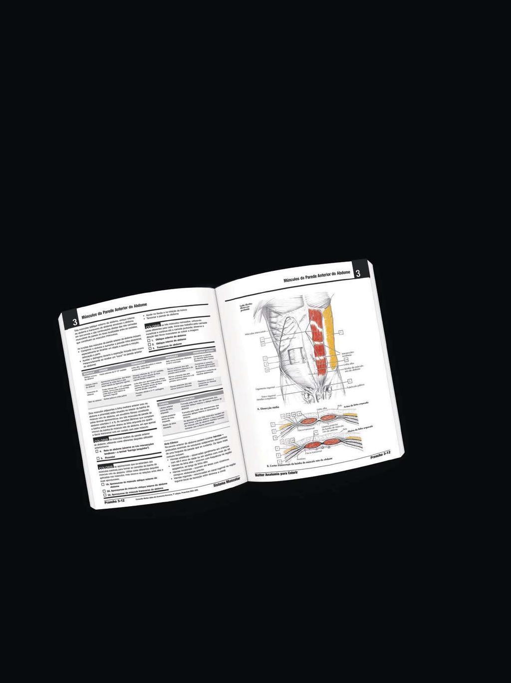 Netter Anatomia para colorir John T.