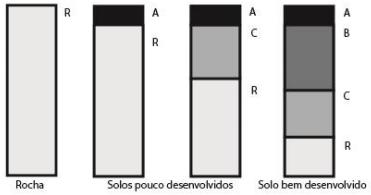 17. Rochas são agregadas naturais de grãos de um ou mais minerais. São formadas por diferentes processos, podendo ser classificadas como sedimentares, metamórficas e magmáticas.