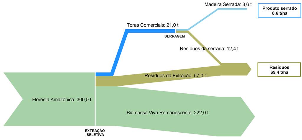 Madeira ilegal e desmatamento: