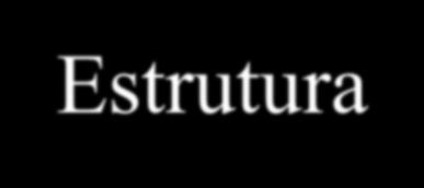 Estrutura composta homogênea multidimensional - Há casos em que uma matriz é insuficiente para armazenar um conjunto de dados para um determinado programa.