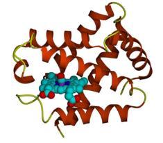 tirosina, triptofano e de metionina, lisina e prolina no grupo HP x LP > [Acilcarnitinas de cadeia curta] C3, C4 e C5 - produtos de degradação dos AACR no grupo HP x LP < [Acilcarnitinas de cadeia