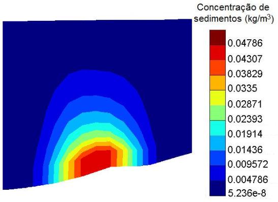Capítulo - 4 Simulação 28-200 µm Perfil transversal Simulação 29-750 µm Perfil transversal Simulação 30-375 µm Perfil transversal Figura 75 - Concentração máxima de sedimentos em planta (esquerda) e