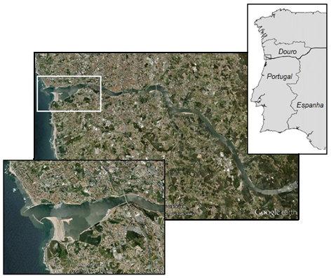 Modelo do estuário do rio Douro Figura 8 - Estuário do rio Douro (Google Earth, 2013) Na embocadura, está localizado o banco de areia do Cabedelo disposto perpendicularmente ao eixo do estuário,