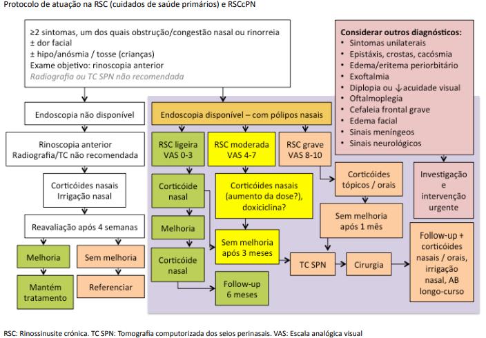 Figura 1 - Protocolo de atuação na RSC (cuidados de saúde primários) e RSCcPN.