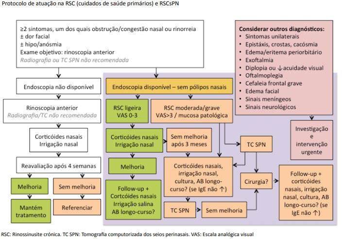 Figura 2 - Protocolo de atuação na RSC (cuidados de saúde primários) e RSCsPN.