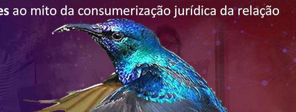 2. Objeções ao mito da consumerização jurídica