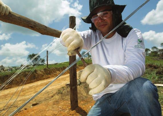 IV Construir a cerca elétrica A cerca elétrica não precisa ser construída em linha reta, podendo acompanhar, por exemplo, as curvas de um caminho interno da propriedade, os declives que facilitem o