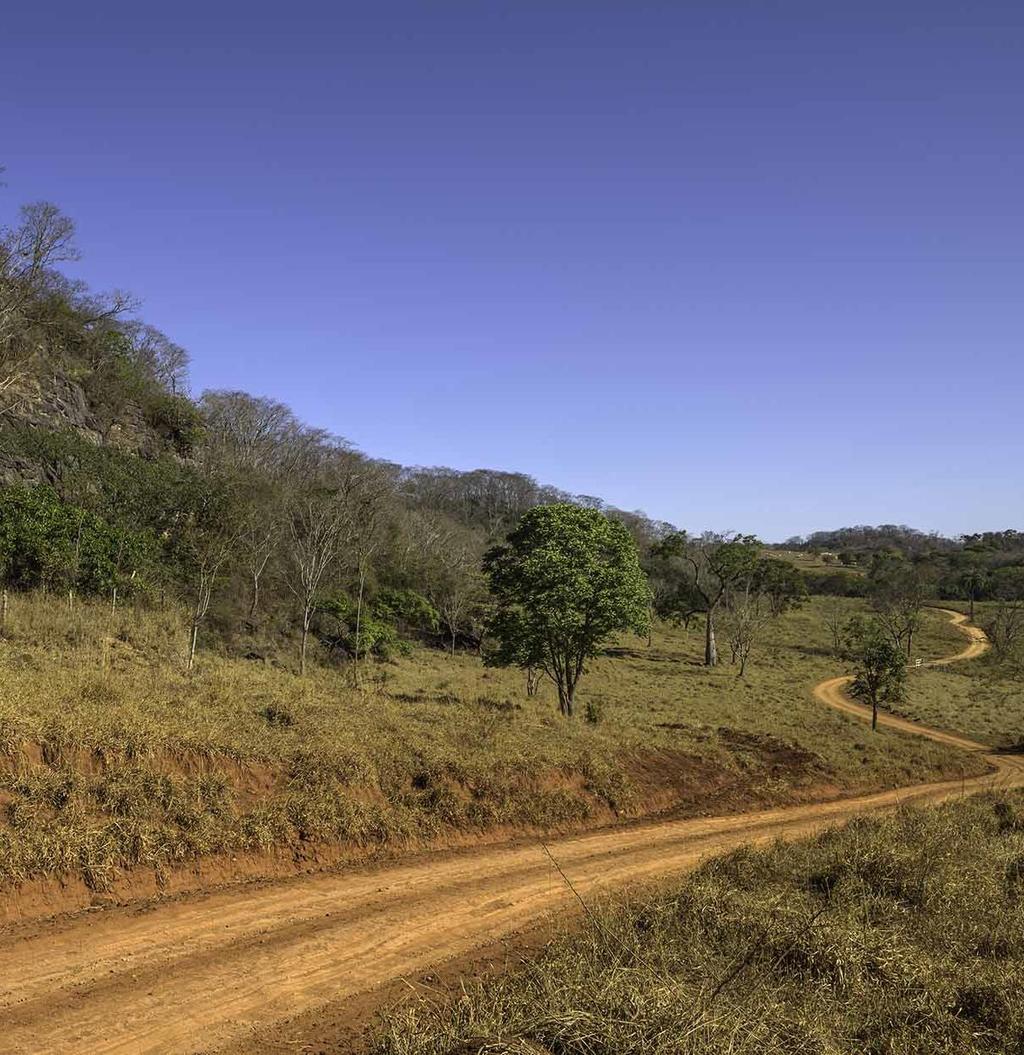 VEGETAÇÃO NO CERRADO O cerrado compreende 22% do território brasileiro, englobando 11 estados e o Distrito Federal. Metade desta área ainda ocupada por vegetação nativa.