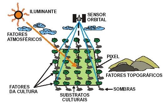 Vegetação x Geometria de Aquisição