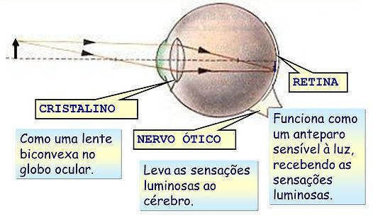 É o príncipe das matemáticas; suas disciplinas são intimamente certas; determinou as altitudes e dimensões das estrelas; descobriu os elementos e