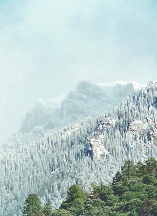 Sangdo Palri Guru Rinpoche. Para estudantes do Budismo Tibetano apenas seu nome, mantra ou imagem evocam uma fé profunda em nossa própia natureza iluminada.