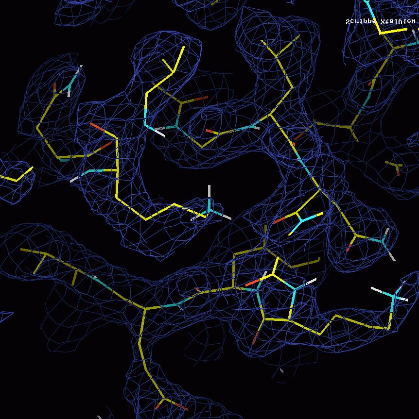 Electron density map (2F obs - F calc, 1σ cutoff) for