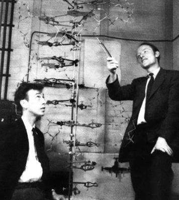1953 - Watson e Crick - DNA