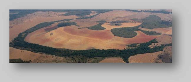 Manejo da Variabilidade Espacial A percepção da variabilidade é inerente ao agricultor Aumento em escala impediu o tratamento localizado Novas ferramentas permitem melhorar a eficiência na utilização