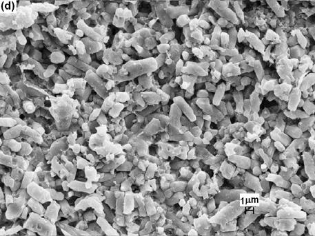 microdureza Vickers das amostras sinterizadas