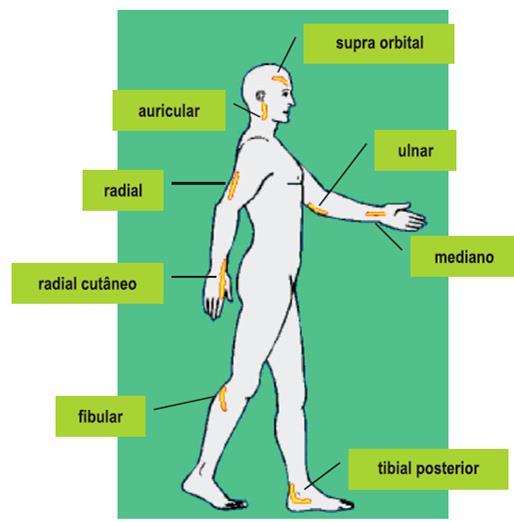 Pode ocorrer (MS, 2001, 2002): Dor