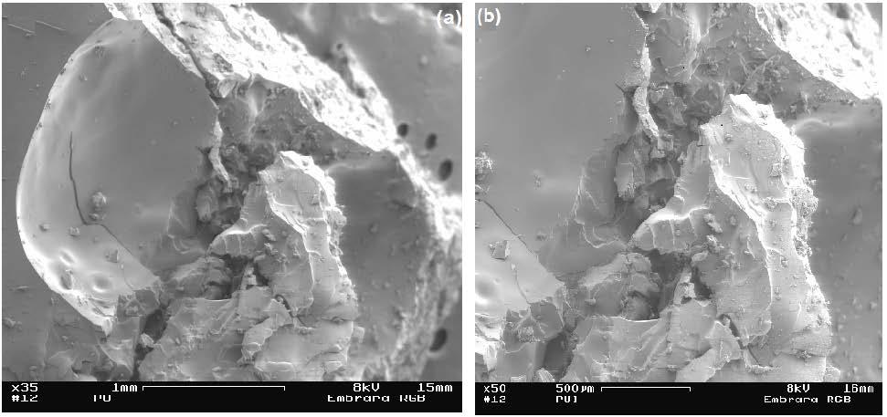 A morfologia da superfície da PU e dos compósitos também foi estudada por MEV e as micrografias estão apresentadas nas Figuras 4 e 5, respectivamente. Figura 4.