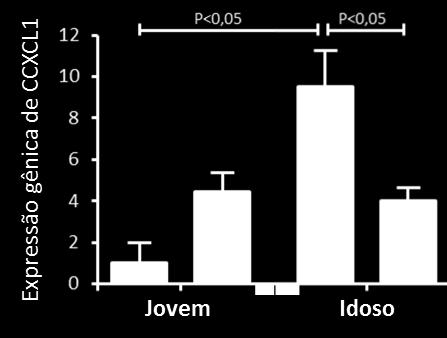 8 Expressão de CXCL3 No grupo Pancreatite Idoso houve um aumento na expressão de CXCL3 quando comparado ao seu
