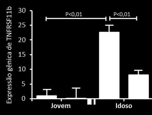 R e s u l t a d o s 52 grupo Pancreatite Idoso obteve uma redução na expressão de TNFRSF11b estatisticamente significante quando comparado ao seu controle