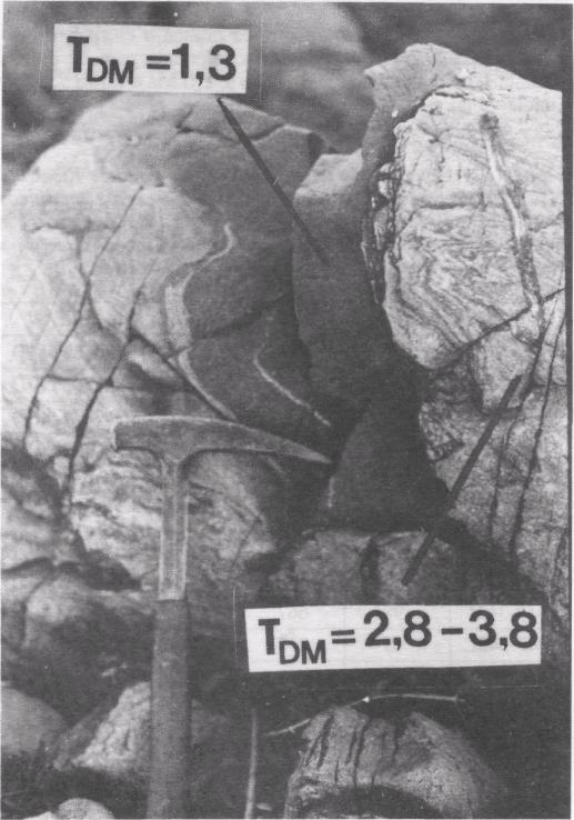 Idades modelo Sm-Nd (T DM ) para o gnaisses e para a rocha máfica estão indicadas Photo l- Mafic pod (possibly a deformed dyke) in the Ribeirão gneiss.