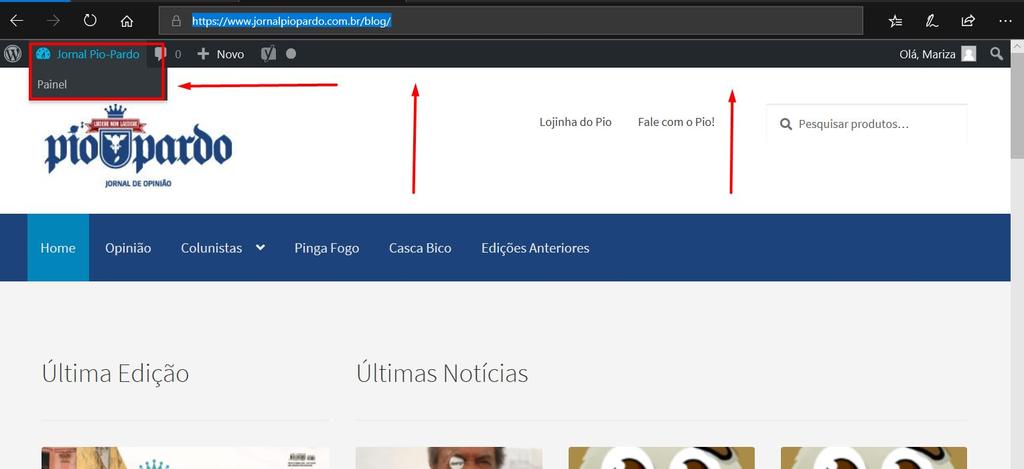 IMPORTANTE - CASO NÃO ESTEJA ENCONTRANDO ESSA TELA, SERÁ POSSÍVEL ACESSAR O PAINEL DIRETAMENTE PELO LINK A SEGUIR, OU AINDA PELA OPÇÃO PAINEL NA BARRA SUPERIOR. 2.1.